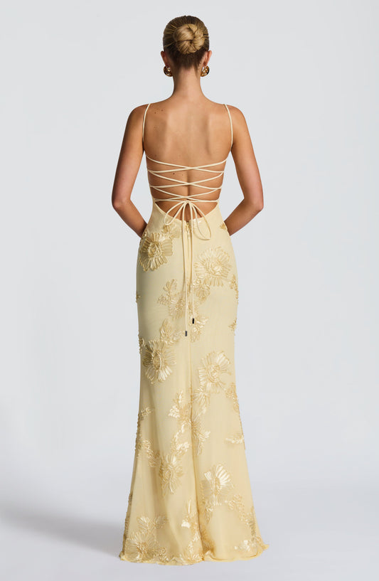 Taya | Floral Appliqué Corset Maxi Dress