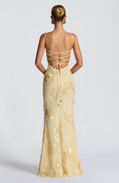 Taya | Floral Appliqué Corset Maxi Dress