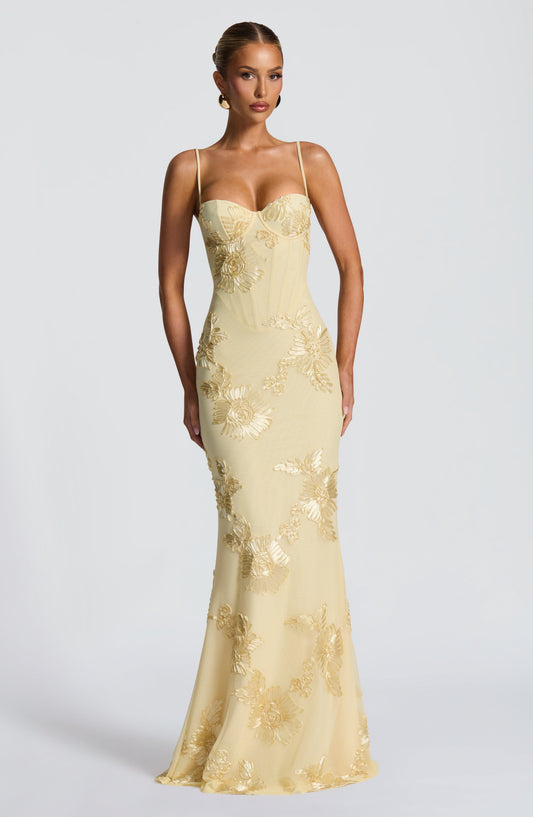 Taya | Floral Appliqué Corset Maxi Dress